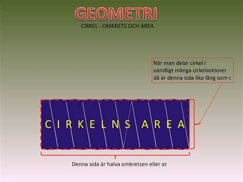 Standardhälve – Vikipeedia