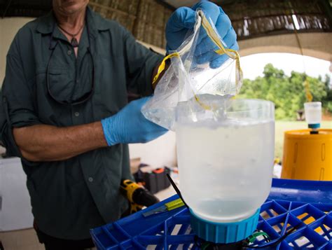 环境dna 的图像结果