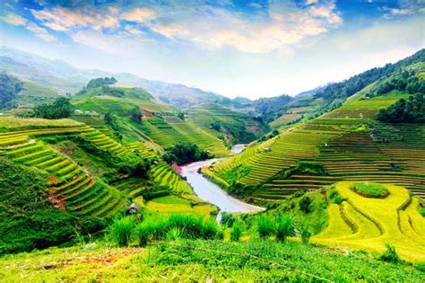Image result for Vietnam Shell Exploding