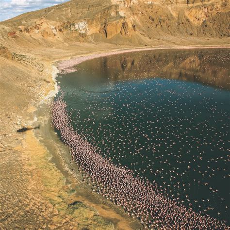Taxonomic Lake Turkana