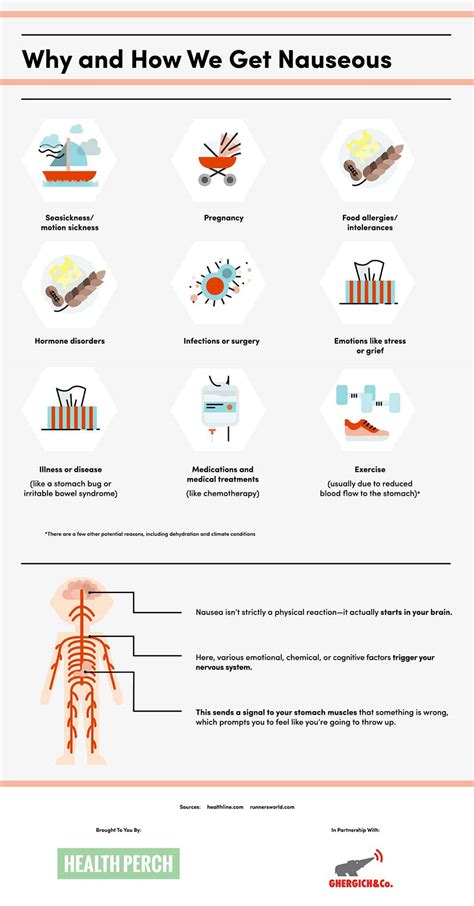 Foods That Stop Nausea in Its Tracks - Health Perch
