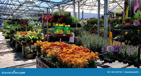 Image result for Lowe's Flower Garden