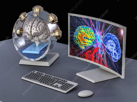 Science Brain Computer Interface 的图像结果