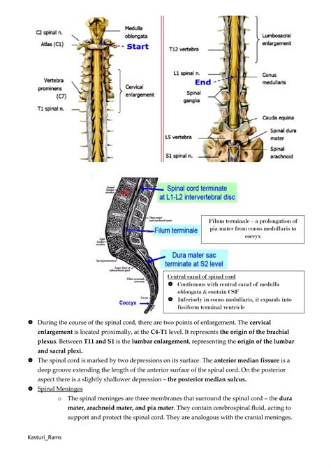 [Ortho] spine | PDF