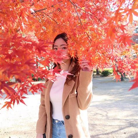 Noon Channel Shows 的图像结果