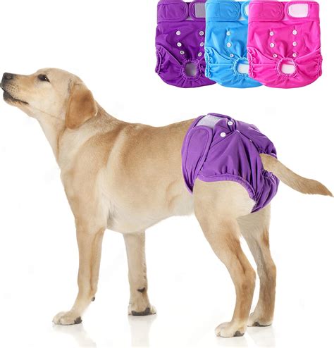 Diaper For Incontinent Dog at Emma Sparks blog