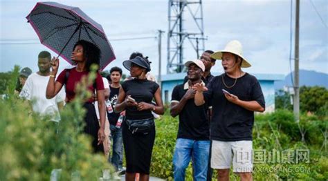 金华举办对非出口网上交易会 非洲留学生也来“直播带货”浙江在线金华频道