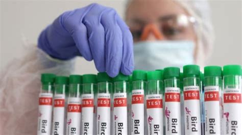 South Korea reports 8 outbreaks of H5N6 bird flu, over 5 lakh poultry ...