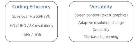Image result for How to Use VVC