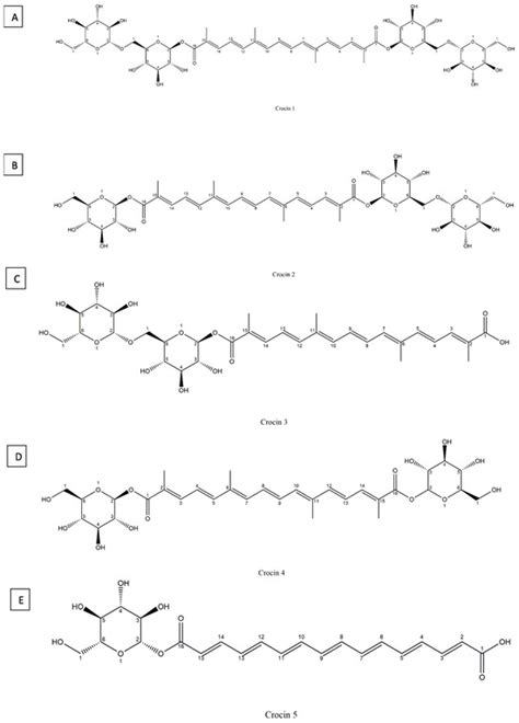 Phytochemistry, Biological Activities, Molecular Mechanisms, and ...