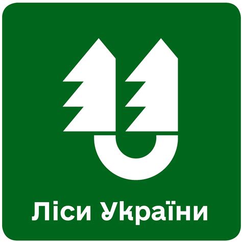 A step towards restoration and new opportunities: children from forestry warrior families join ...