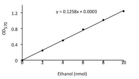 Ethanol Assay Kit sufficient for 100 colorimetric or fluorometric tests ...