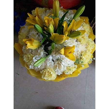 Prakriti Floralbay White & Yellow Carnation Fresh Flowers in Paper ...