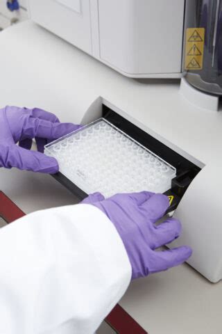 Werfen | Leading Provider Of Transfusion & Transplantation Diagnostic ...