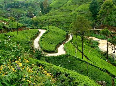 Nuwara Eliya, Sri Lanka: Top Tourist Destinations & Travel Spots