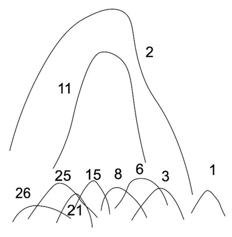 Coccidioides Species: A Review of Basic Research: 2022
