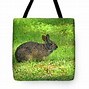 Image result for Marsh Rabbit Nest