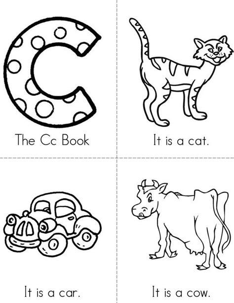 Image result for CC Model Book