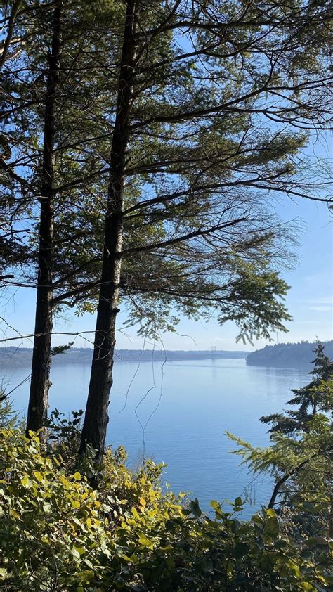 Five Mile Drive - Washington | AllTrails