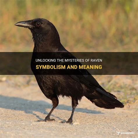Unlocking The Mysteries Of Raven Symbolism And Meaning | ShunSpirit