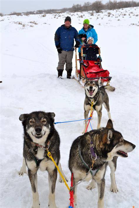 Dog Sledding in Park City Utah is an Adventure of a Lifetime - Dad Logic