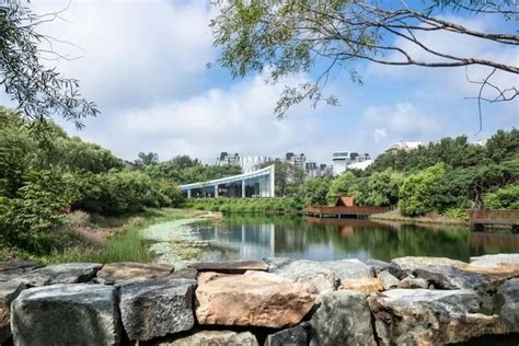 长春水文化生态园／Changchun Culture & Ecology Park – 此间建筑摄影