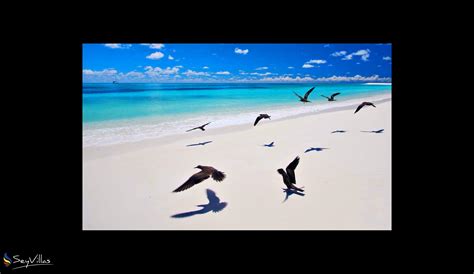 Bird Island Seychelles - Apartment - Location - Bird Island (Seychelles ...