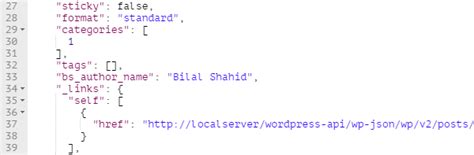 Image result for WP REST API