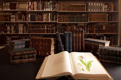 How to Use Museum Key for Library Use 的图像结果