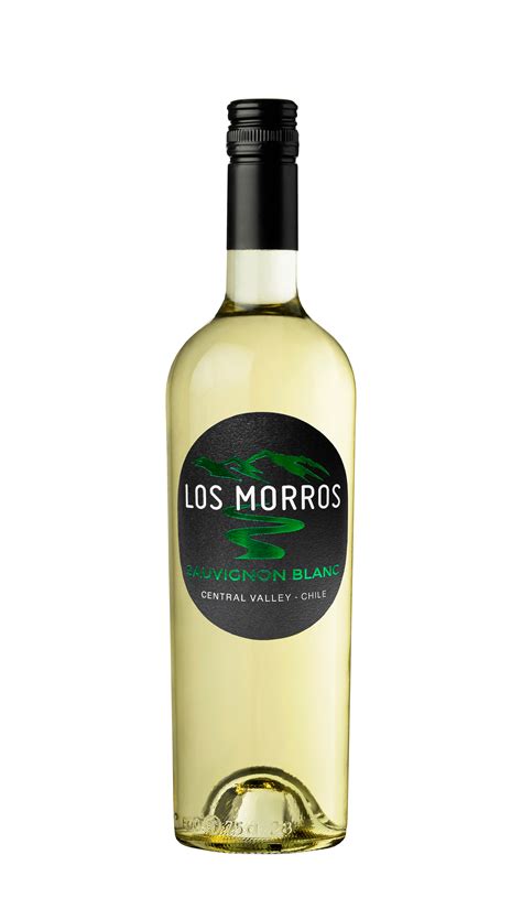 Sauvignon Blanc » Besoain Wines