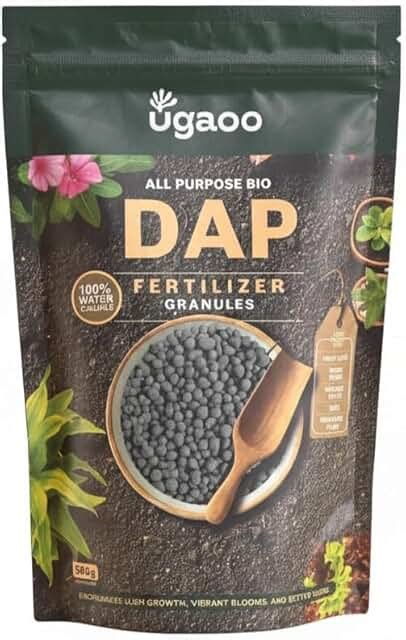 Amazon.in: Fertilizer