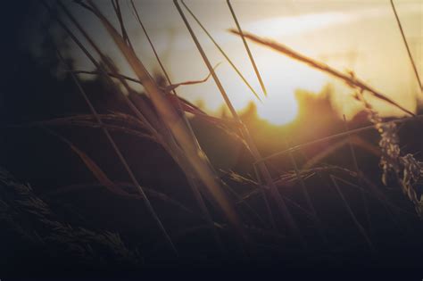 Energy & Biosciences Institute