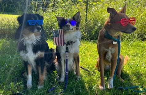 Conformation, 7908 Steamboat Island Rd NW, Olympia, WA, United States ...