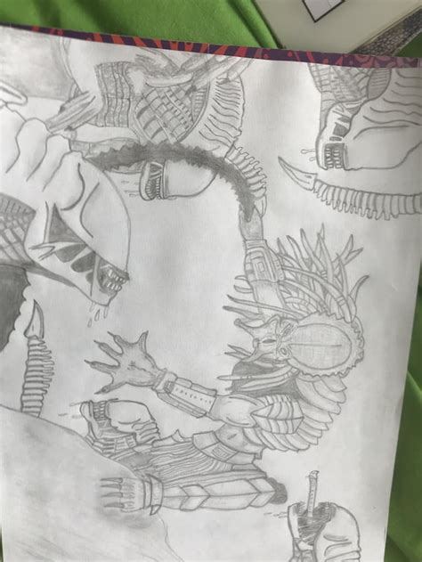 Alien vs Predator Drawing 的图像结果