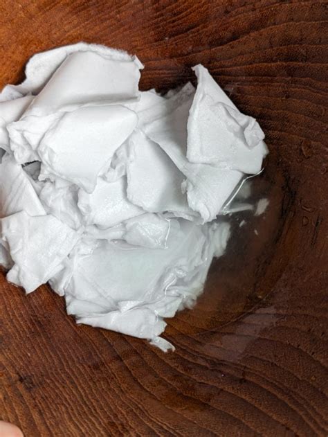 Image result for Seed Papermaking Using Tissues