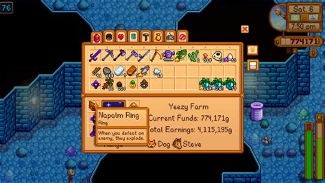 Stardew Valley: 15 Powerful Rings You Need to Have