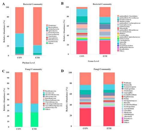 Adding Ethanol to the Batch and Continuous Transplantation Co-Culture ...