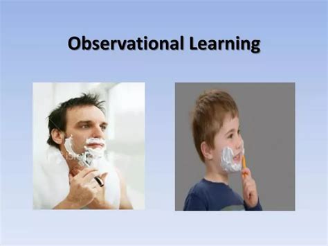 Image result for Observational Learning