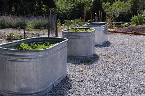 Galvanized Steel Trough Planters