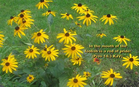 Image result for Forest Background Wallpaper Spring Scripture