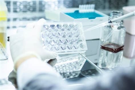 Image result for How to Use a Phase Contrast Microscope