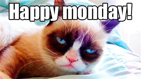 Happy Monday GIFs - 58 Funny Animated Images For Free | USAGIF.com