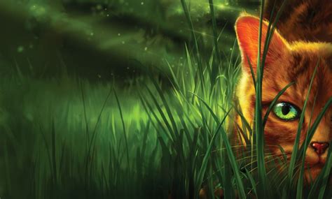 Warrior Cats Wallpapers - 4k, HD Warrior Cats Backgrounds on WallpaperBat