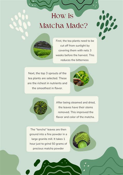 HowToBasic Matcha 的图像结果