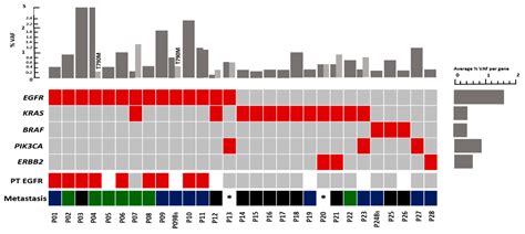 Discovery of Targetable Genetic Alterations in NSCLC Patients with ...