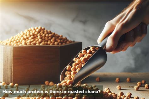 Protein in Roasted Chana: A Complete Guide – Lo! Foods
