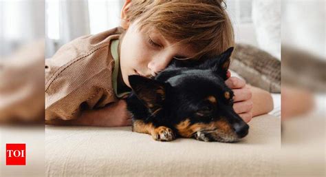 Study: Pets help your child sleep better at night! - The Times of India