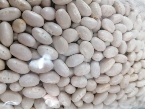 Small White Beans - Nutting But Goodness