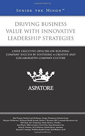 Buy Driving Business Value with Innovative Leadership Strategies: Chief ...