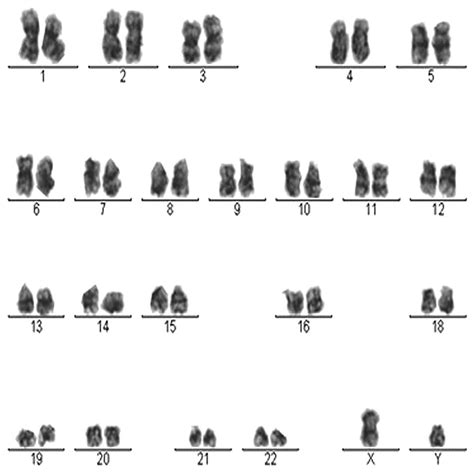 Image result for DataMapper Pattern Example